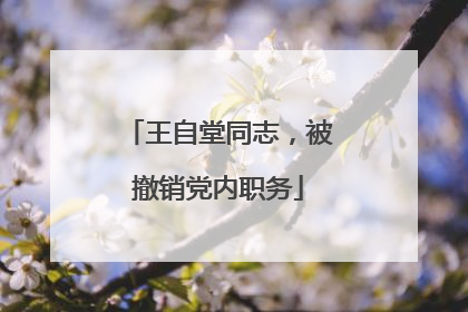 王自堂同志，被撤销党内职务