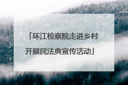 环江检察院走进乡村开展民法典宣传活动