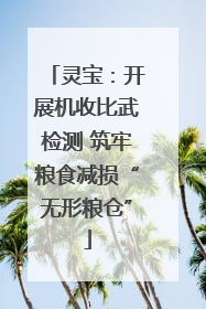 灵宝：开展机收比武检测 筑牢粮食减损“无形粮仓”