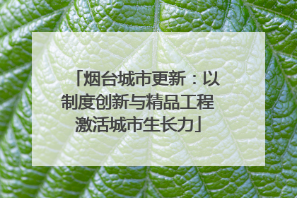 烟台城市更新：以制度创新与精品工程激活城市生长力