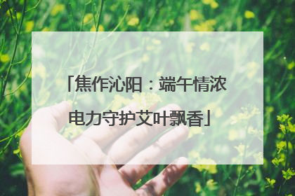 焦作沁阳：端午情浓 电力守护艾叶飘香