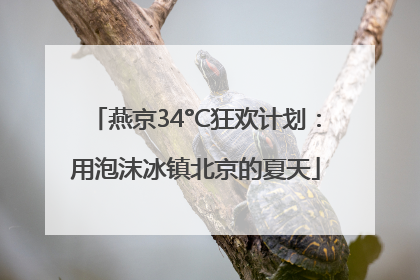 燕京34°C狂欢计划：用泡沫冰镇北京的夏天