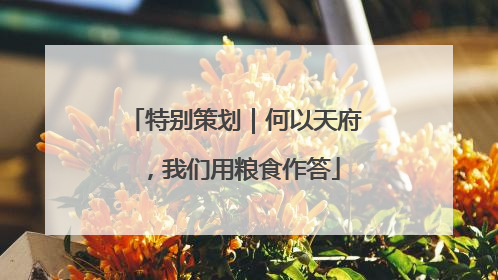特别策划｜何以天府，我们用粮食作答