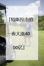 特斯拉市值一夜大涨4000亿