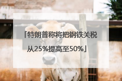 特朗普称将把钢铁关税从25%提高至50%