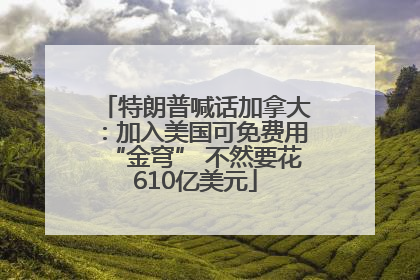 特朗普喊话加拿大：加入美国可免费用“金穹” 不然要花610亿美元