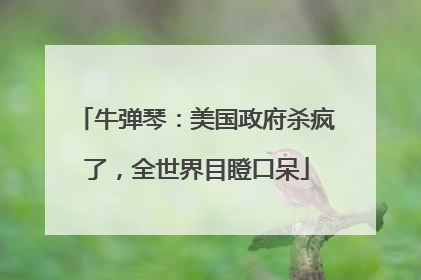 牛弹琴：美国政府杀疯了，全世界目瞪口呆