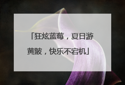 狂炫蓝莓，夏日游黄陂，快乐不宕机