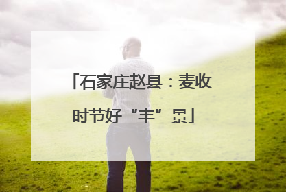 石家庄赵县：麦收时节好“丰”景