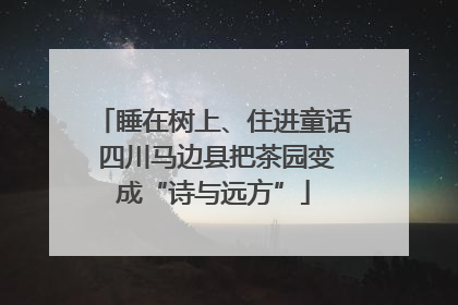 睡在树上、住进童话 四川马边县把茶园变成“诗与远方”