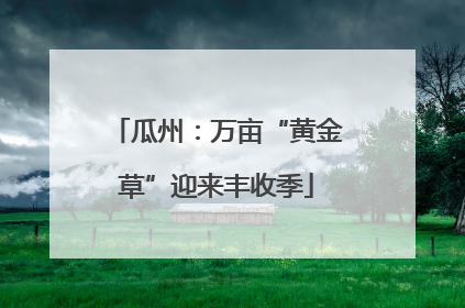 瓜州：万亩“黄金草”迎来丰收季