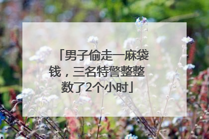 男子偷走一麻袋钱，三名特警整整数了2个小时