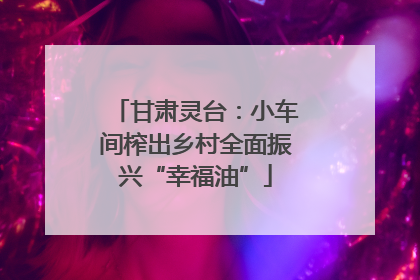 甘肃灵台：小车间榨出乡村全面振兴“幸福油”