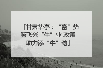 甘肃华亭：“畜”势腾飞兴“牛”业 政策助力添“牛”劲