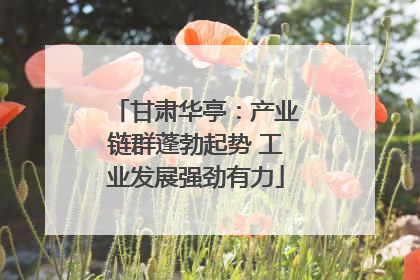 甘肃华亭：产业链群蓬勃起势 工业发展强劲有力