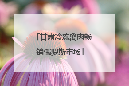 甘肃冷冻禽肉畅销俄罗斯市场