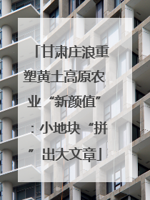 甘肃庄浪重塑黄土高原农业“新颜值”：小地块“拼”出大文章