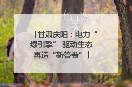 甘肃庆阳：电力“绿引擎” 驱动生态再造“新答卷”