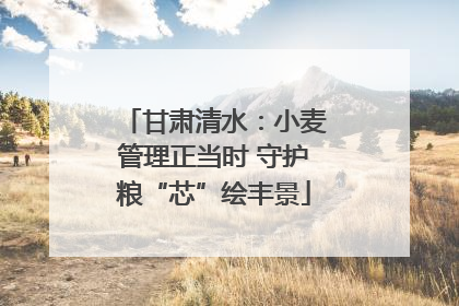 甘肃清水：小麦管理正当时 守护粮“芯”绘丰景