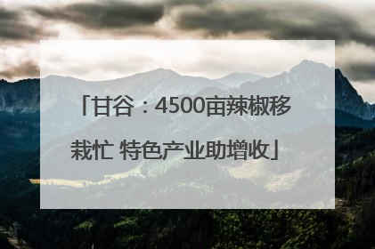 甘谷：4500亩辣椒移栽忙 特色产业助增收