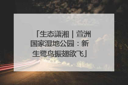 生态潇湘｜萱洲国家湿地公园：新生鹭鸟振翅欲飞