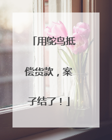 用鸵鸟抵偿货款，案子结了！