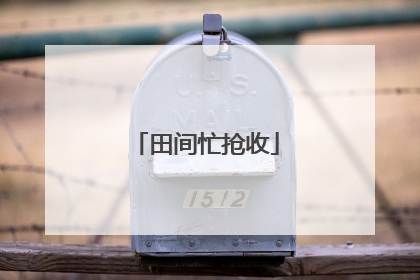 田间忙抢收