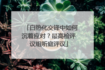 白热化交锋中如何沉着应对？最高检评议组听庭评议