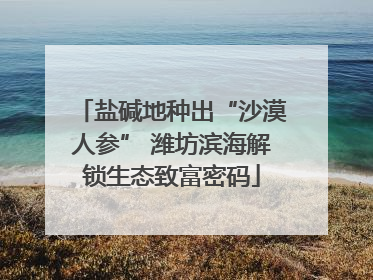 盐碱地种出“沙漠人参” 潍坊滨海解锁生态致富密码