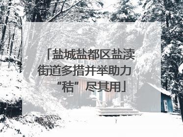 盐城盐都区盐渎街道多措并举助力“秸”尽其用