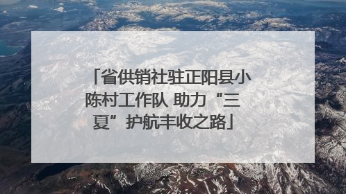 省供销社驻正阳县小陈村工作队 助力“三夏”护航丰收之路