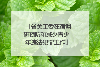 省关工委在宿调研预防和减少青少年违法犯罪工作