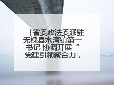 省委政法委派驻无棣县水湾镇第一书记 协调开展“党建引领聚合力，健康义诊惠乡亲”义诊活动