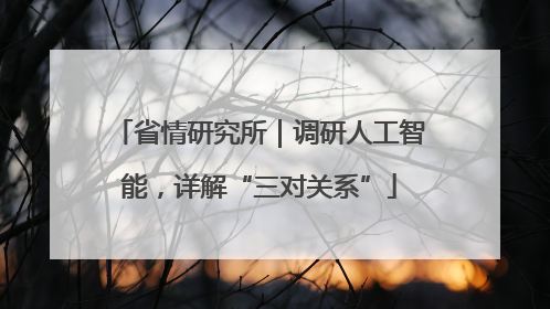 省情研究所｜调研人工智能，详解“三对关系”
