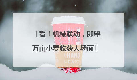 看！机械联动，即墨万亩小麦收获大场面