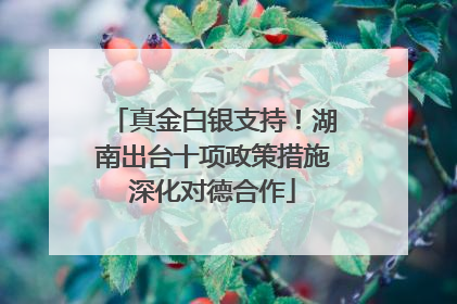 真金白银支持！湖南出台十项政策措施深化对德合作