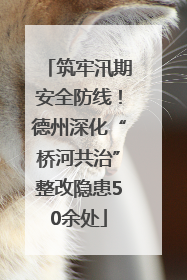 筑牢汛期安全防线！德州深化“桥河共治”整改隐患50余处