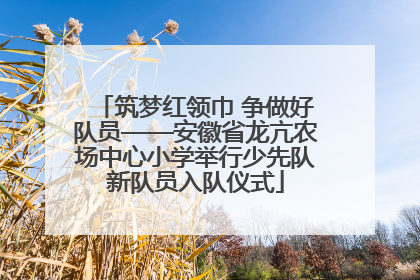筑梦红领巾 争做好队员——安徽省龙亢农场中心小学举行少先队新队员入队仪式