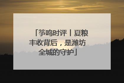 筝鸣时评丨夏粮丰收背后，是潍坊全城的守护