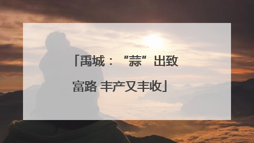 禹城：“蒜”出致富路 丰产又丰收