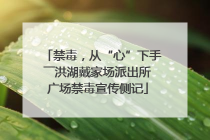 禁毒，从“心”下手――洪湖戴家场派出所广场禁毒宣传侧记