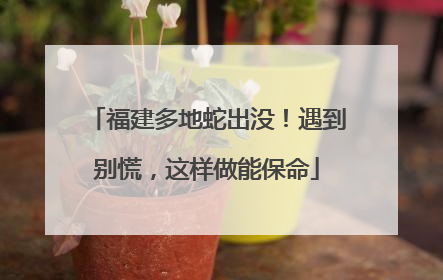 福建多地蛇出没！遇到别慌，这样做能保命
