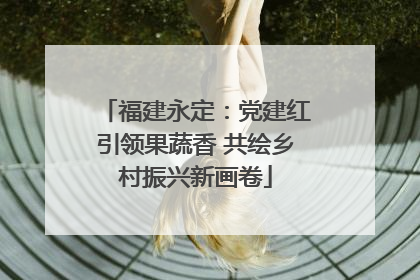 福建永定：党建红引领果蔬香 共绘乡村振兴新画卷