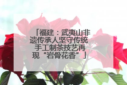福建：武夷山非遗传承人坚守传统 手工制茶技艺再现“岩骨花香”