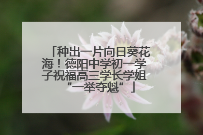 种出一片向日葵花海！德阳中学初一学子祝福高三学长学姐“一举夺魁”