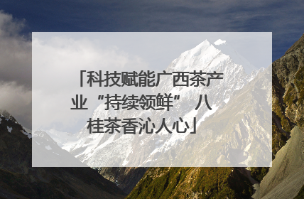 科技赋能广西茶产业“持续领鲜” 八桂茶香沁人心