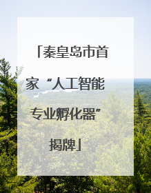 秦皇岛市首家“人工智能专业孵化器”揭牌