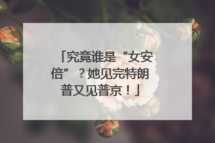 究竟谁是“女安倍”？她见完特朗普又见普京！