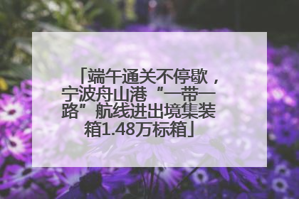 端午通关不停歇，宁波舟山港“一带一路”航线进出境集装箱1.48万标箱
