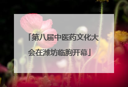 第八届中医药文化大会在潍坊临朐开幕